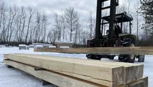 sawmill and lumber